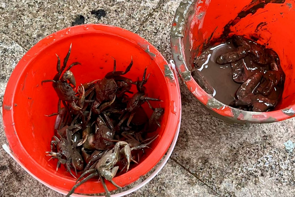 1756799862600766.png 8.png